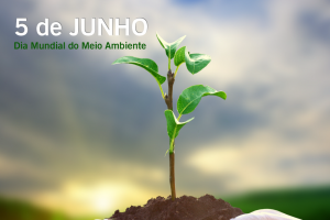 meio-ambiente