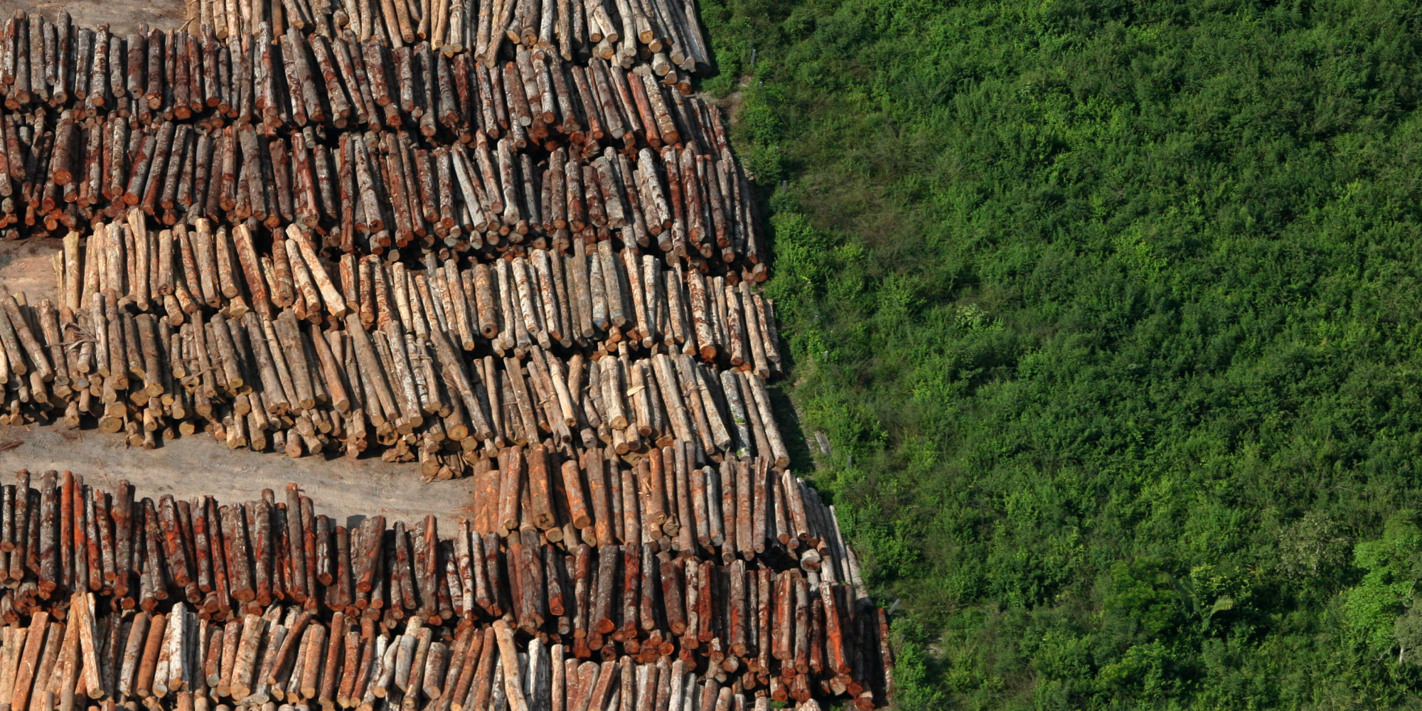 Conheça Colniza, o município que mais desmata no Brasil
