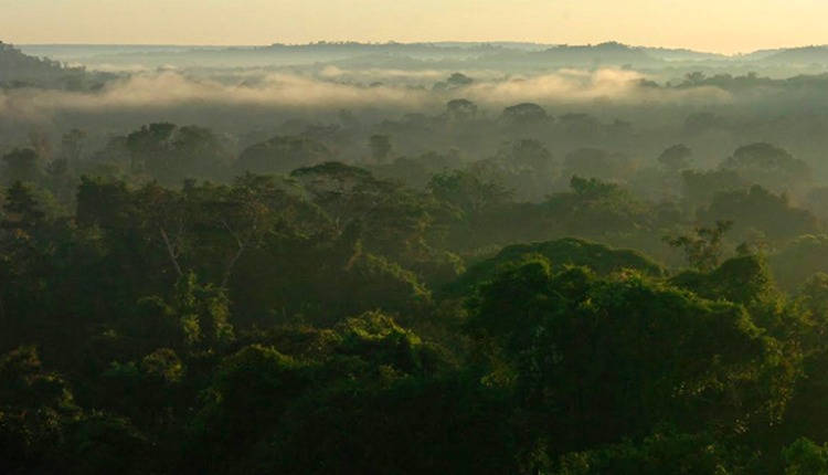 Foto: Divulgação/USP imagens