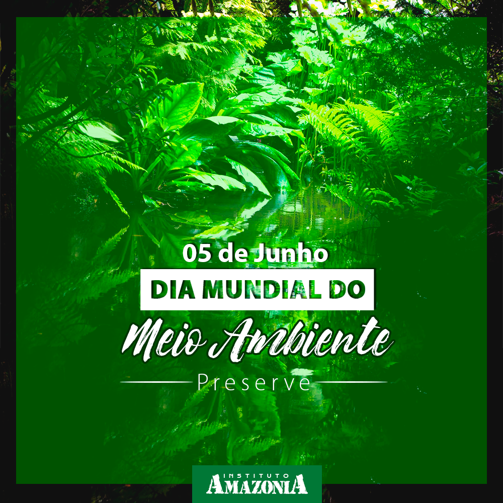 Coleta seletiva, Dia Mundial do Meio Ambiente